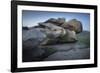 Twilight Edge-Joe Cornish-Framed Giclee Print