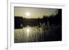 Twilight Glimmer-Wild Wonders of Europe-Framed Giclee Print