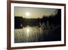 Twilight Glimmer-Wild Wonders of Europe-Framed Giclee Print