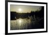 Twilight Glimmer-Wild Wonders of Europe-Framed Giclee Print