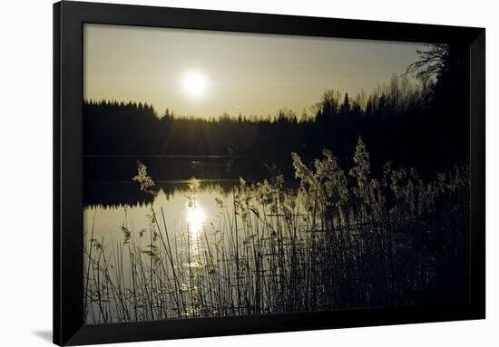 Twilight Glimmer-Wild Wonders of Europe-Framed Giclee Print