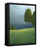 Twilight I-Chariklia Zarris-Framed Stretched Canvas