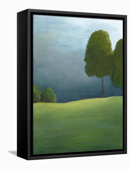 Twilight I-Chariklia Zarris-Framed Stretched Canvas