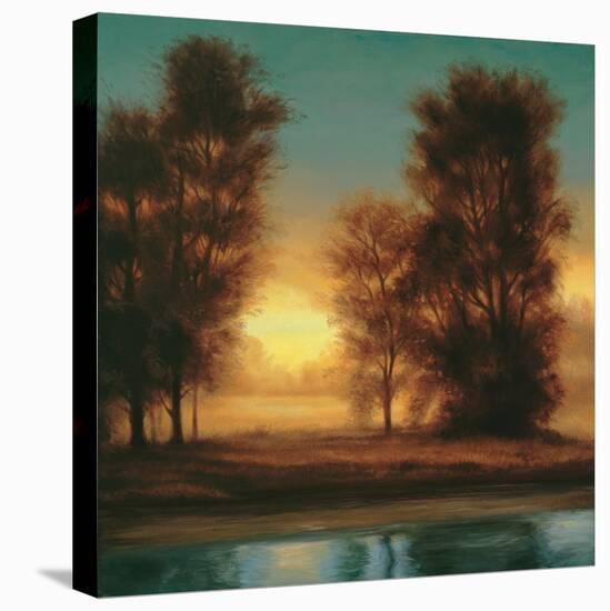 Twilight I-Neil Thomas-Stretched Canvas