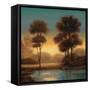 Twilight II-Neil Thomas-Framed Stretched Canvas