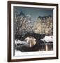 Twilight in Central Park-Rod Chase-Framed Art Print