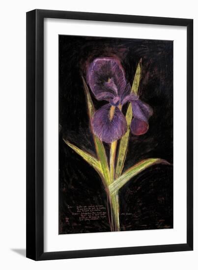 Twilight Iris-Maret Hensick-Framed Art Print