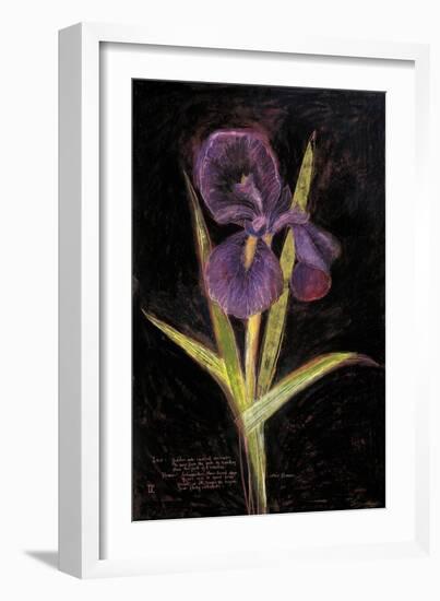 Twilight Iris-Maret Hensick-Framed Art Print