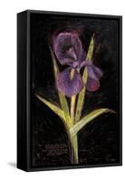 Twilight Iris-Maret Hensick-Framed Stretched Canvas