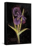 Twilight Iris-Maret Hensick-Framed Stretched Canvas