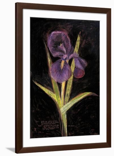 Twilight Iris-Maret Hensick-Framed Art Print