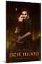 Twilight - New Moon-null-Mounted Poster