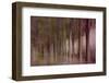 Twilight Of Autumn-Jacob Berghoef-Framed Photographic Print