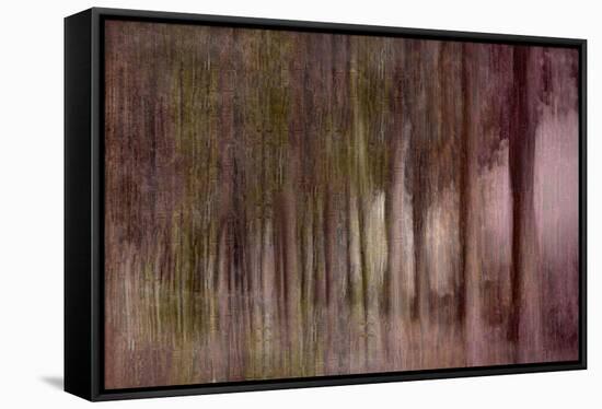 Twilight Of Autumn-Jacob Berghoef-Framed Stretched Canvas