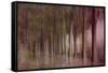 Twilight Of Autumn-Jacob Berghoef-Framed Stretched Canvas