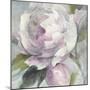 Twilight Peony-Albena Hristova-Mounted Art Print