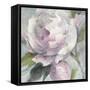 Twilight Peony-Albena Hristova-Framed Stretched Canvas