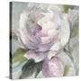 Twilight Peony-Albena Hristova-Stretched Canvas