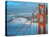 Twilight San Francisco-Carol Joy Shannon-Stretched Canvas