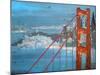 Twilight San Francisco-Carol Joy Shannon-Mounted Art Print