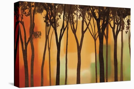 Twilight Silhouette-Gregory Williams-Stretched Canvas