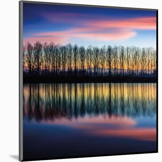 Twilight Silhouettes-Paolo De Faveri-Mounted Giclee Print