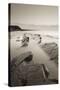 Twilight Skies Above Rocky Kilve Beach on the Somerset Coast, England. Summer (July)-Adam Burton-Stretched Canvas