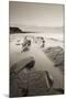 Twilight Skies Above Rocky Kilve Beach on the Somerset Coast, England. Summer (July)-Adam Burton-Mounted Photographic Print