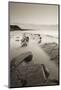 Twilight Skies Above Rocky Kilve Beach on the Somerset Coast, England. Summer (July)-Adam Burton-Mounted Photographic Print