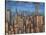 Twilight Skyline-Timothy Craig-Stretched Canvas