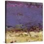 Twilight Time-Janet Bothne-Stretched Canvas