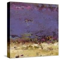 Twilight Time-Janet Bothne-Stretched Canvas