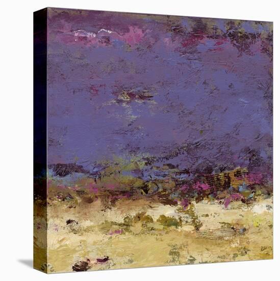 Twilight Time-Janet Bothne-Stretched Canvas