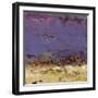 Twilight Time-Janet Bothne-Framed Art Print