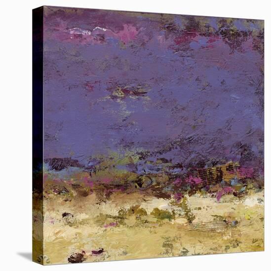 Twilight Time-Janet Bothne-Stretched Canvas