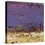 Twilight Time-Janet Bothne-Stretched Canvas