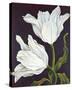 Twilight Tulip-Leigh Banks-Stretched Canvas
