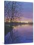 Twilight-Bruce Dumas-Stretched Canvas