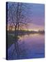 Twilight-Bruce Dumas-Stretched Canvas