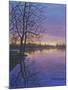 Twilight-Bruce Dumas-Mounted Giclee Print