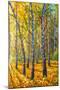 Twin Autumn Trees-Valery Rybakow-Mounted Art Print