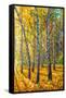 Twin Autumn Trees-Valery Rybakow-Framed Stretched Canvas