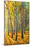 Twin Autumn Trees-Valery Rybakow-Mounted Art Print