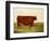 "Twin Beast," a Shorthorn / Devon Cross Bull in a Meadow, a Village Beyond-G. Sinclair-Framed Giclee Print