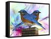 Twin Blue Bird-Ata Alishahi-Framed Stretched Canvas