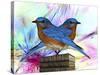 Twin Blue Bird-Ata Alishahi-Stretched Canvas