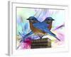 Twin Blue Bird-Ata Alishahi-Framed Giclee Print