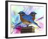 Twin Blue Bird-Ata Alishahi-Framed Giclee Print