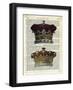 Twin Crowns-Marion Mcconaghie-Framed Art Print