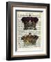 Twin Crowns-Marion Mcconaghie-Framed Art Print